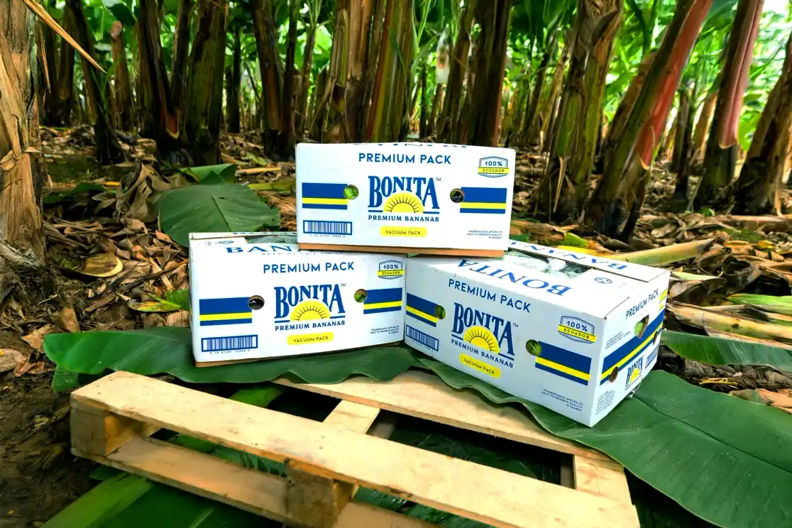 Bonita banana boxes stacked at the farm, ready for export.
