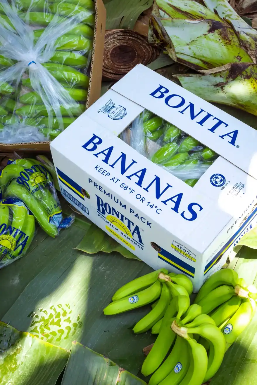 Bonita Premium Pack box next to bunches of green bananas on banana leaves.